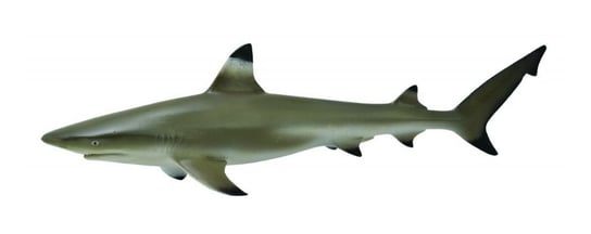 Collecta, черноперая рифовая акула M фигурка collecta китовая акула 88453 6 5 см