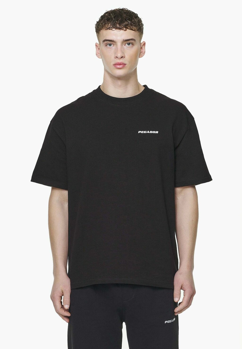 

Футболка базовая LOGO Pegador, цвет vintage washed onyx black