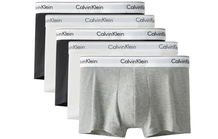 

Мужские трусы Calvin Klein, Упаковка из 5 шт. (белый/черный/серый)