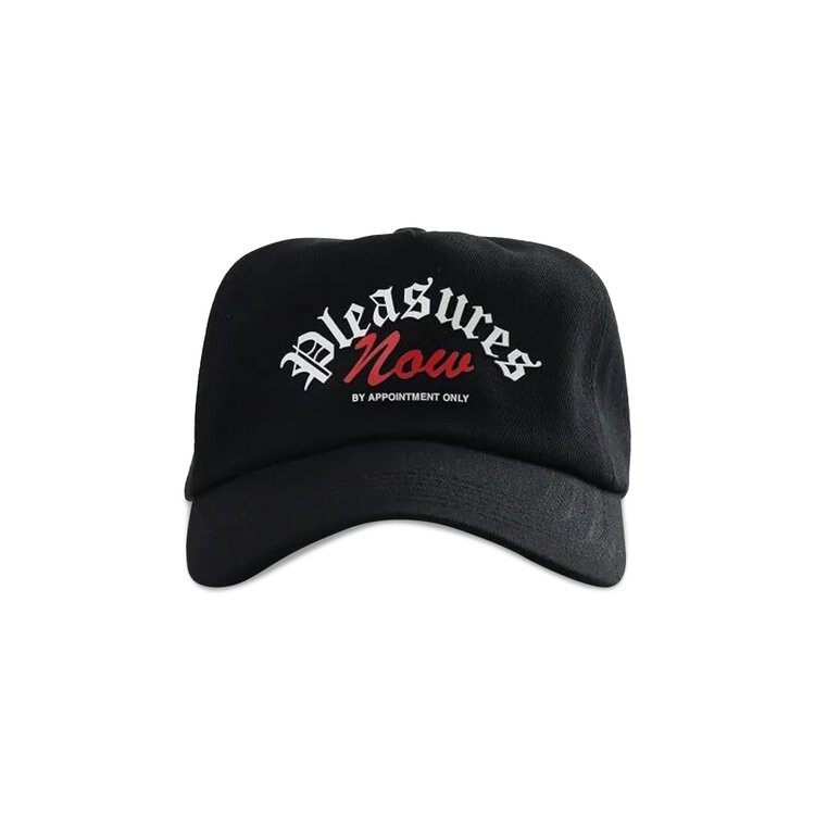 

Бейсболка Pleasures Appointment Unconstructed Snapback, черный