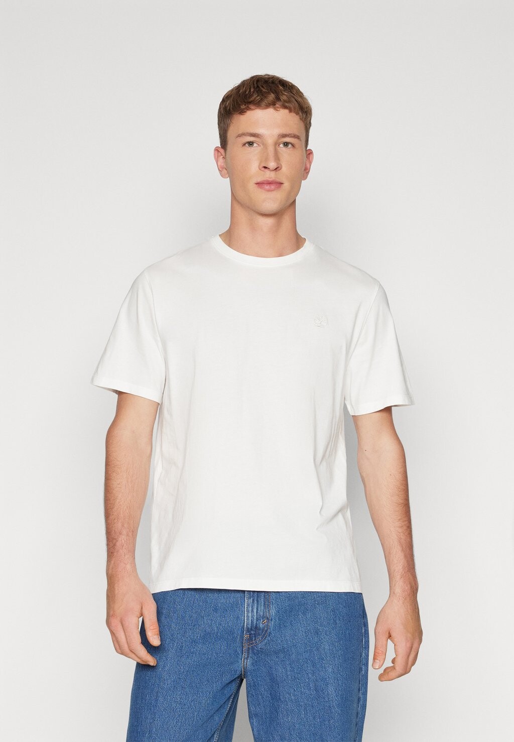 

Базовая футболка Dunstan Short Sleeve Tee Timberland, цвет undyed