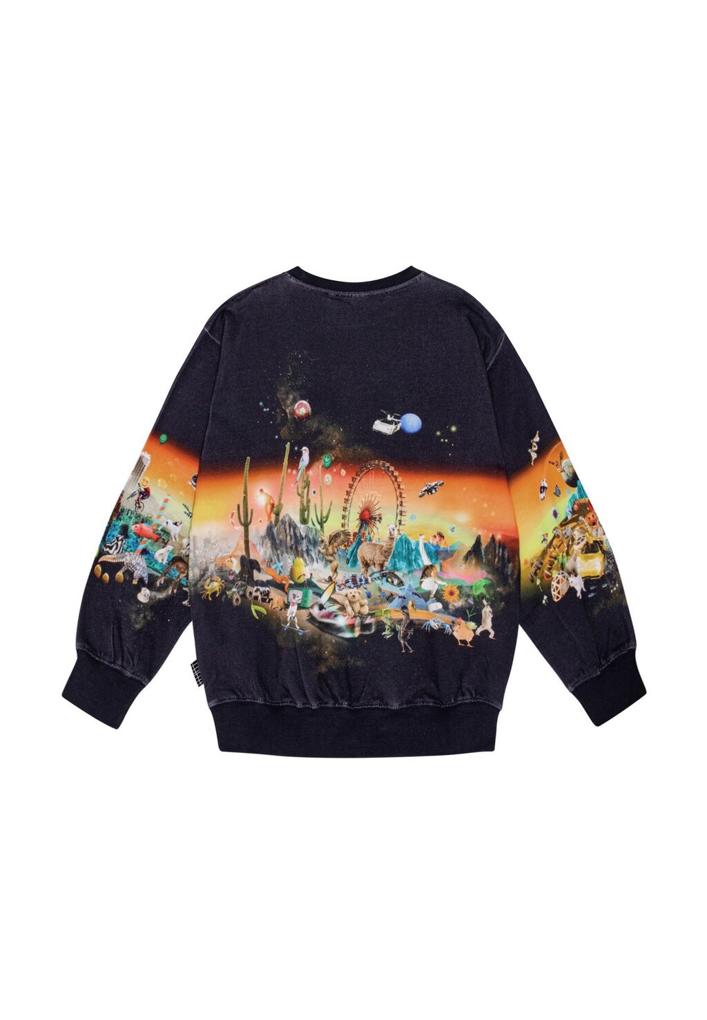 

Толстовка MONTI UNISEX Molo, мультиколор