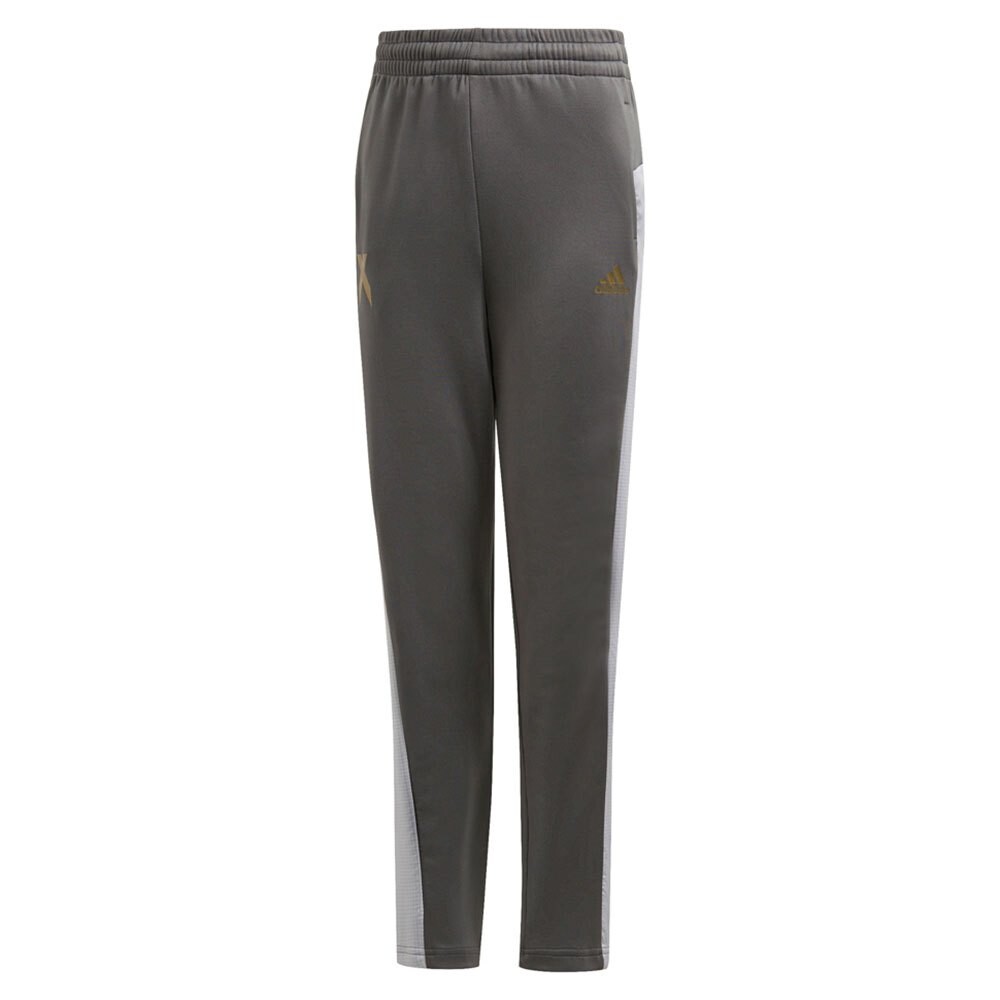 

Брюки adidas A.R. X Long, серый