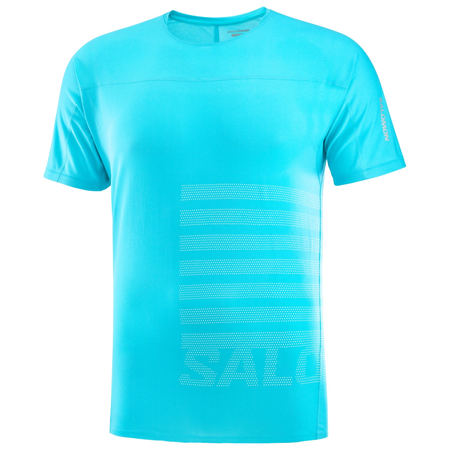 цена Беговая рубашка Salomon Sense Aero S/S Tee GFX, цвет Peacock Blue/White