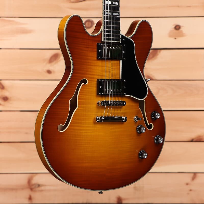 

Электрогитара Eastman T486-GB - Goldburst - P2300101
