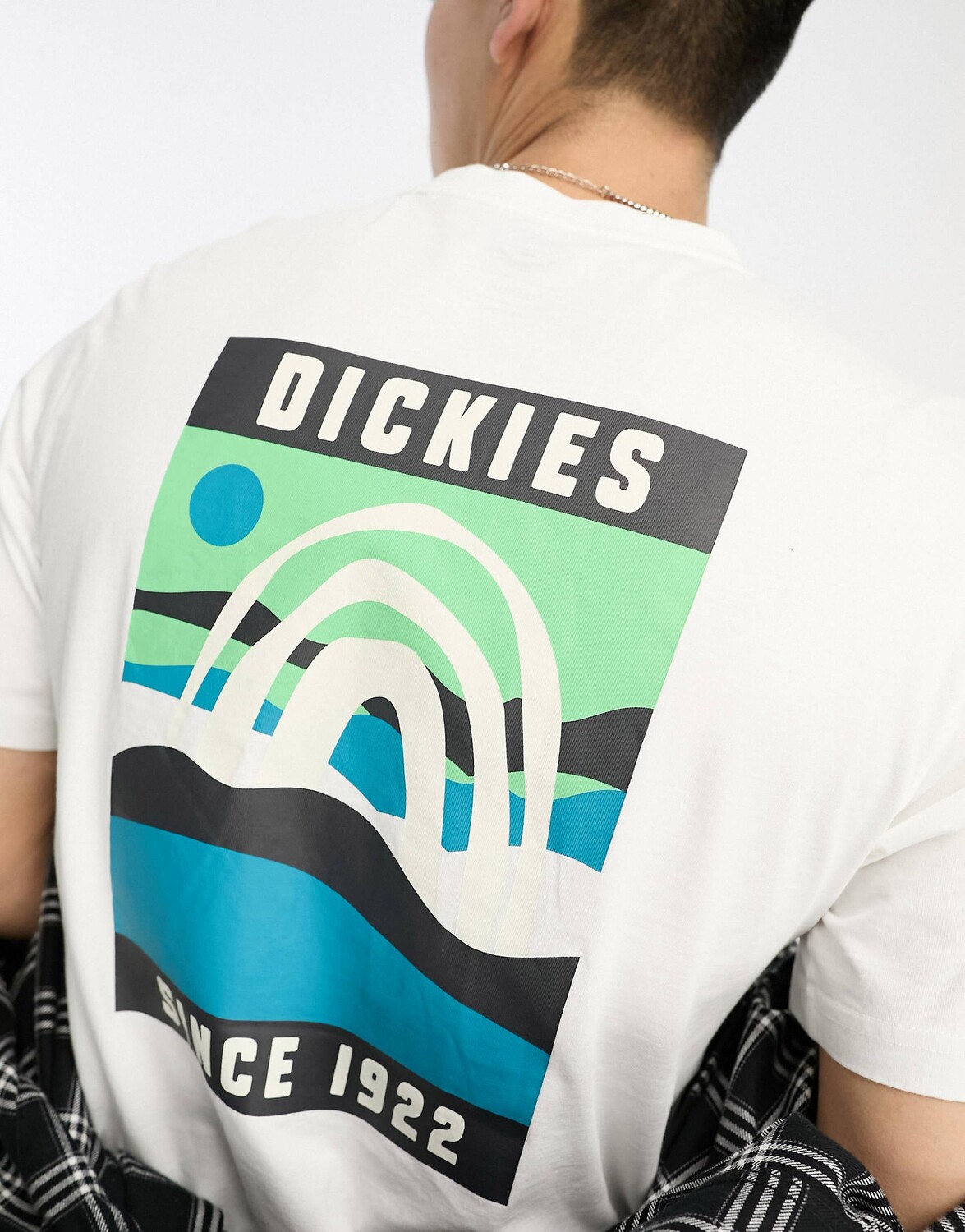 

Белая футболка с принтом на спине Dickies Baker City Landscape, Белый