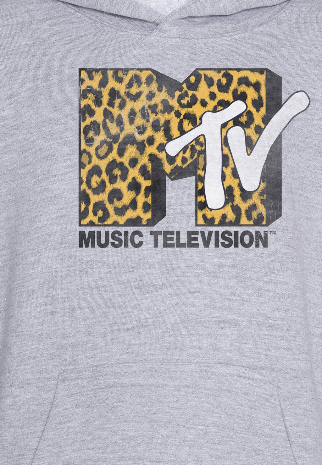 

Толстовка с капюшоном MTV CHEETA LOGO Henry Tiger, серый