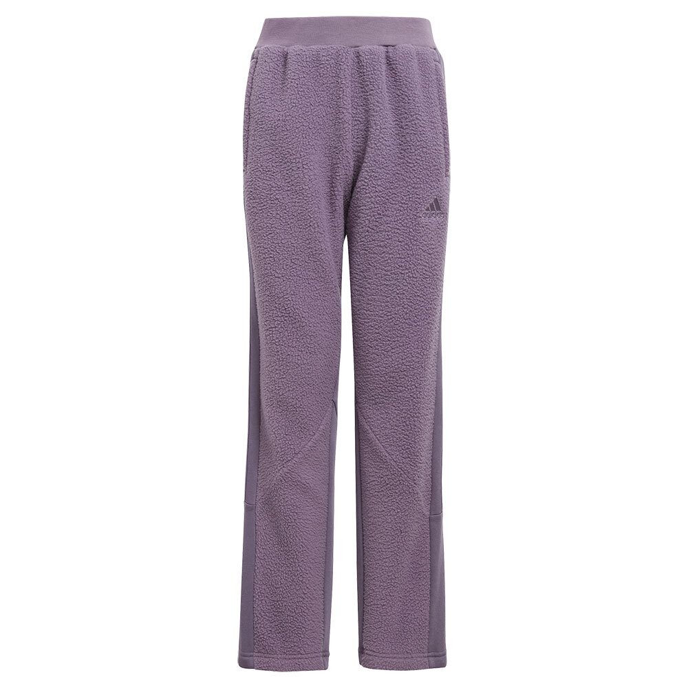 

Брюки adidas Sportswear House Of Tiro Winter, фиолетовый
