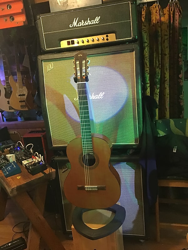 Акустическая гитара Cordoba C5 Classical 2022 цена и фото