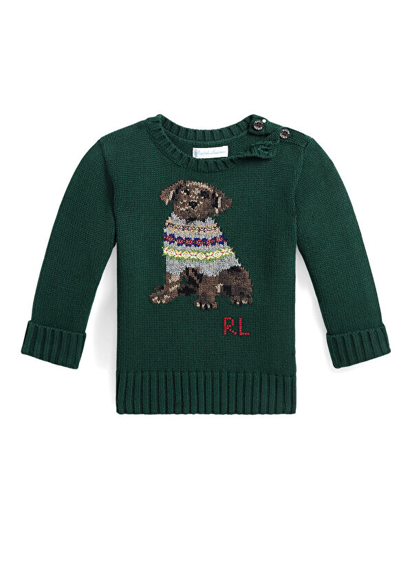 

Зеленый жаккардовый свитер для мальчика с собакой Polo Ralph Lauren