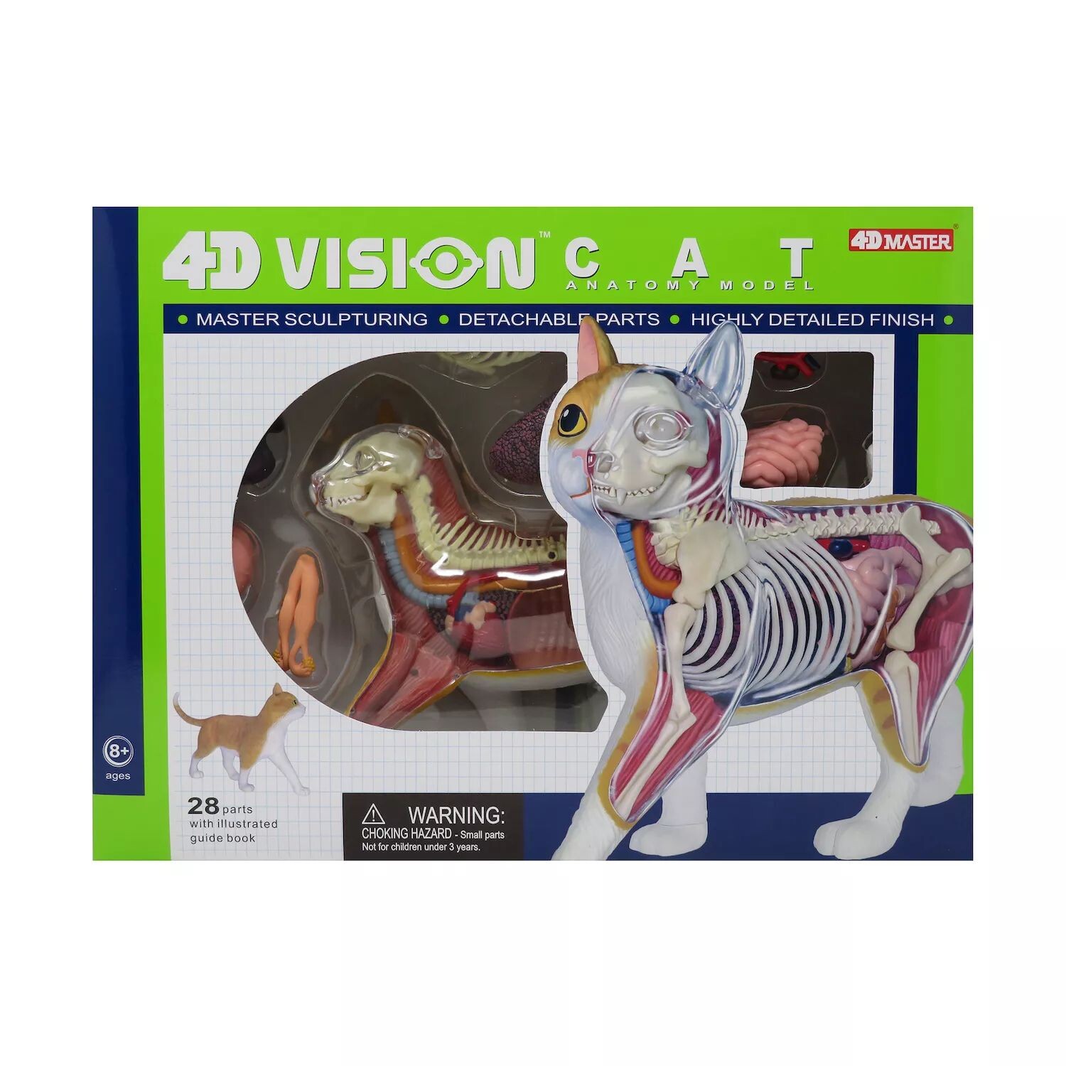 4D Master 4D Vision Анатомическая модель оранжевого кота 4D Master golden unicorn 4d xxray master mighty jaxx jason freeny anatomy cartoon ornament