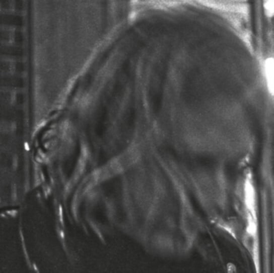 

Виниловая пластинка Segall Ty - Ty Segall