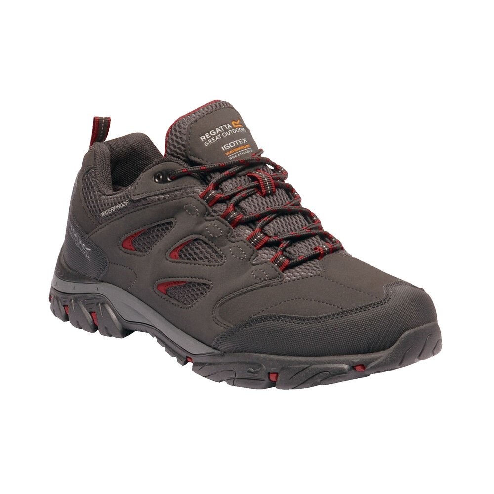 

Походная обувь Regatta Holcombe Iep Low, серый