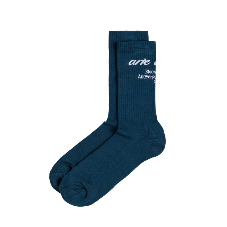 

Носки blooming ideas logo socks Arte Antwerp, синий