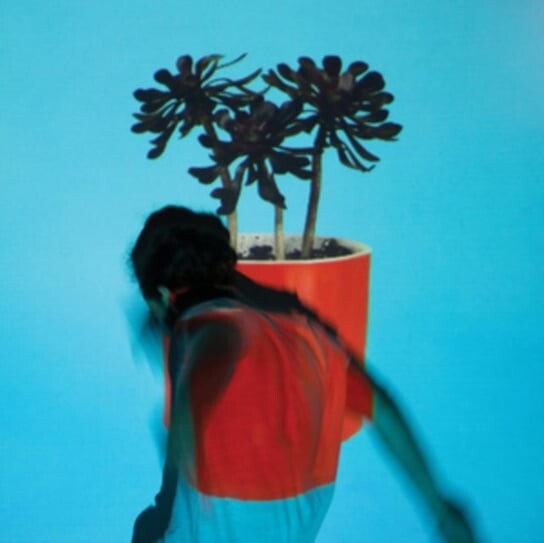 

Виниловая пластинка Local Natives - Sunlit Youth