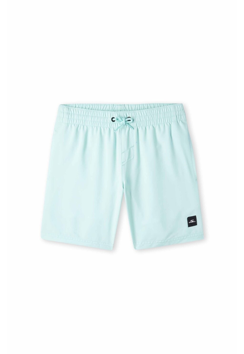 

Шорты для плавания FUTURE SURF SOCIETY O'Neill, цвет beach glass