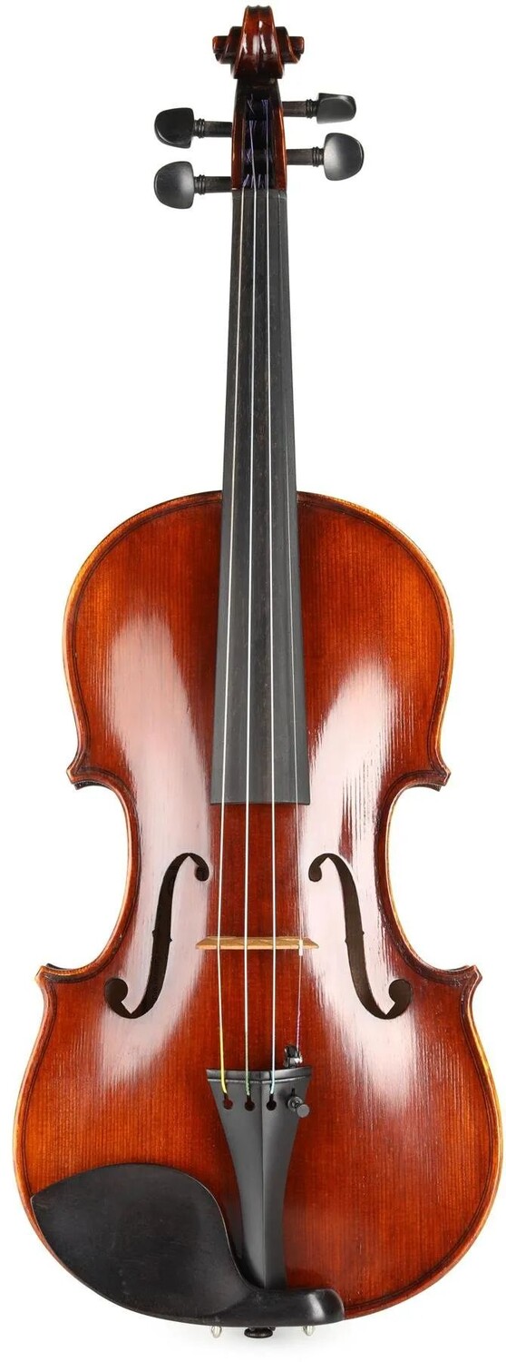 

Eastman VL305 Андреас Истман Скрипка среднего уровня - размер 4/4