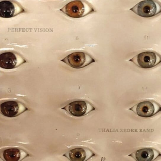

Виниловая пластинка Thalia Zedek Band - Perfect Vision