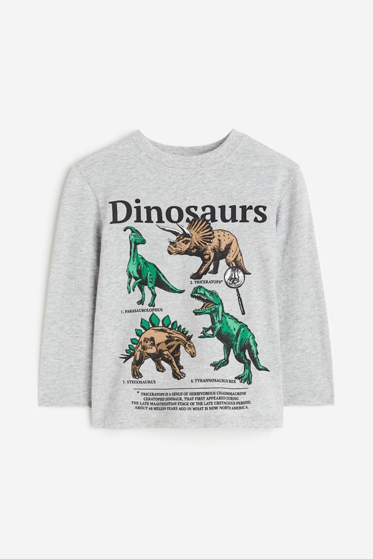 

Футболка с длинным рукавом H&M Dinosaurs, светло-серый меланж