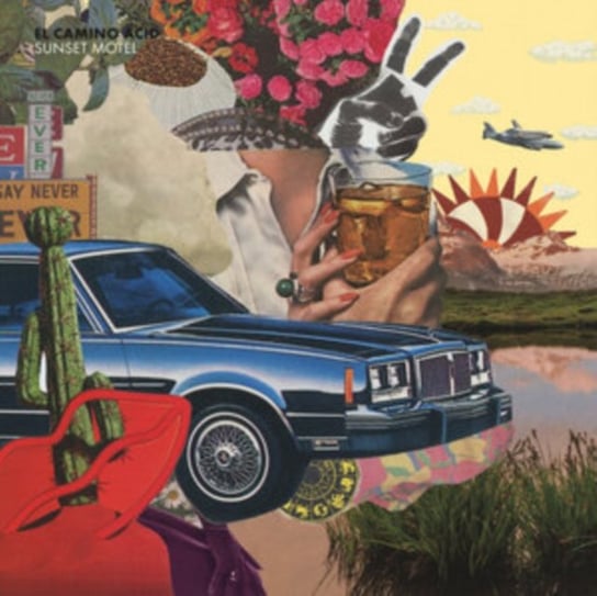 цена Виниловая пластинка El Camino Acid - Sunset Motel
