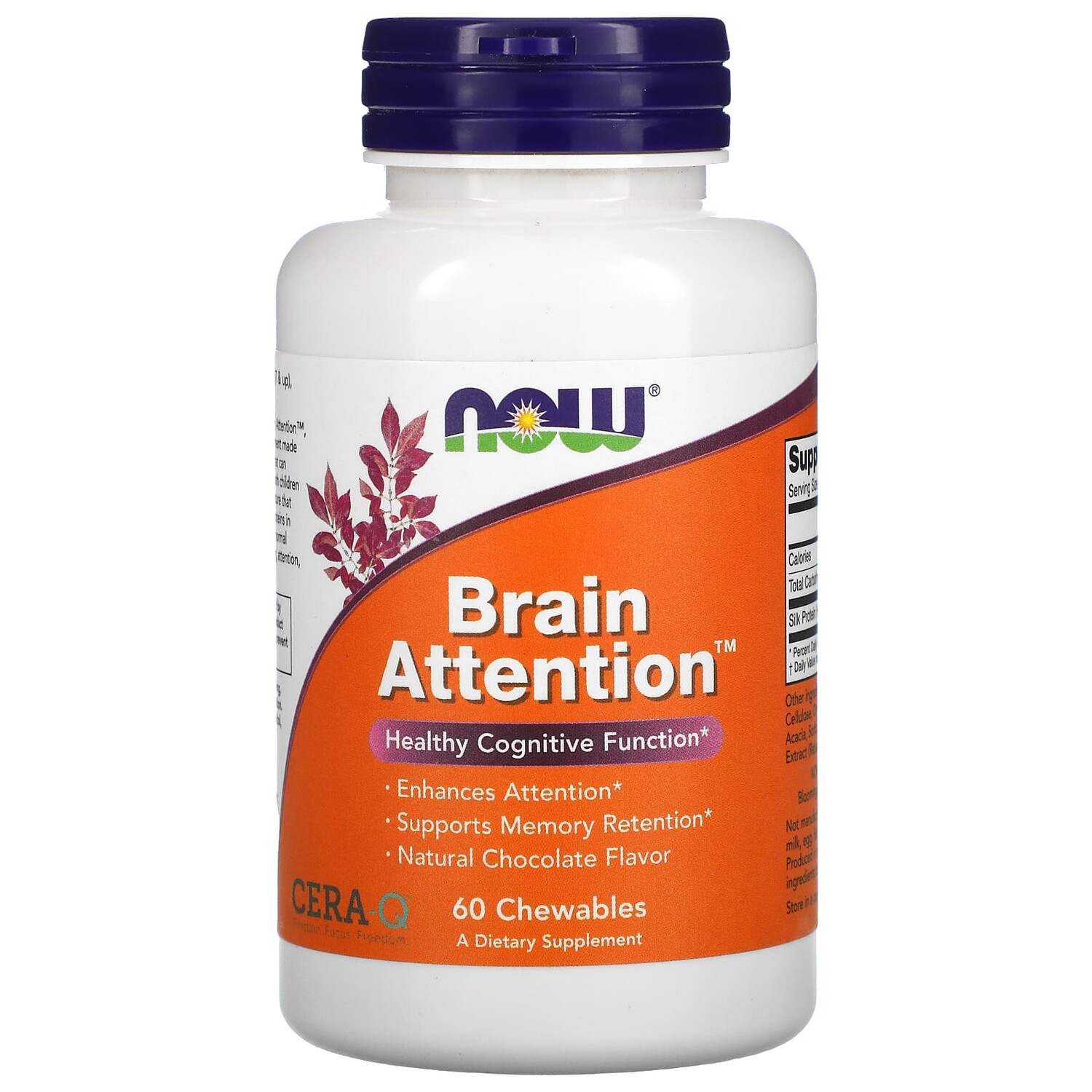 

Brain Attention, натуральный шоколадный вкус, 60 жевательных таблеток, NOW Foods