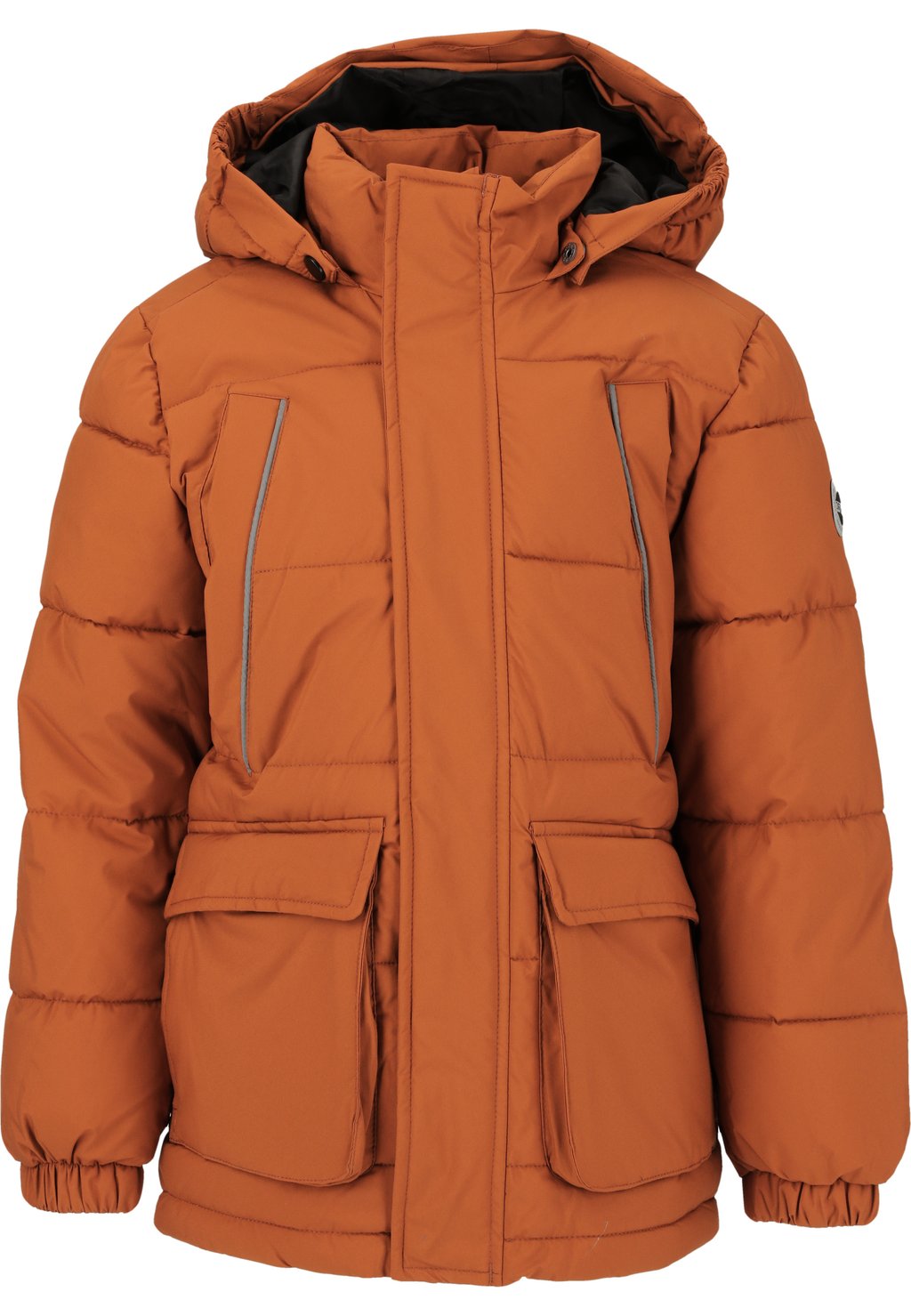 Зимняя куртка ZIGZAG, цвет bruin пазл schmidt 1000 деталей семейство львов