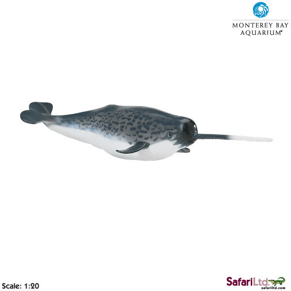 

Safari Ltd 212202 Нарвал 1:20 27,5x7см Monterey Bay Aquar