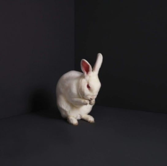 Виниловая пластинка Magnetic Eye Records - Rabbits lic magnetic eye shadow palette 6