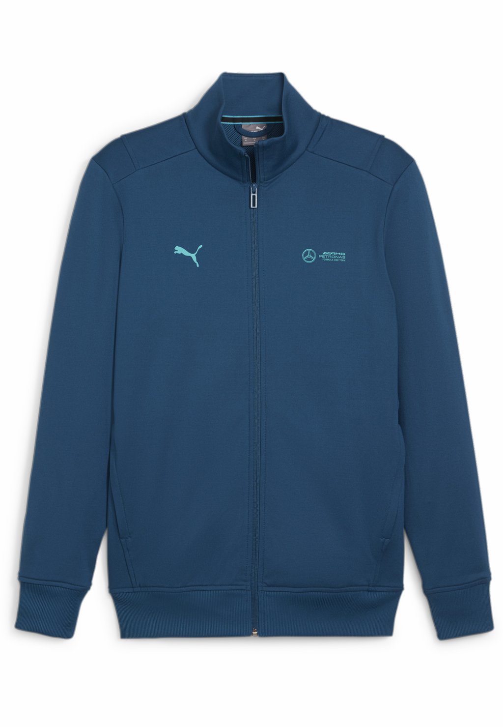 

Толстовка PETRONAS MOTORSPORT CLOUDSPUN Puma, цвет ocean tropic