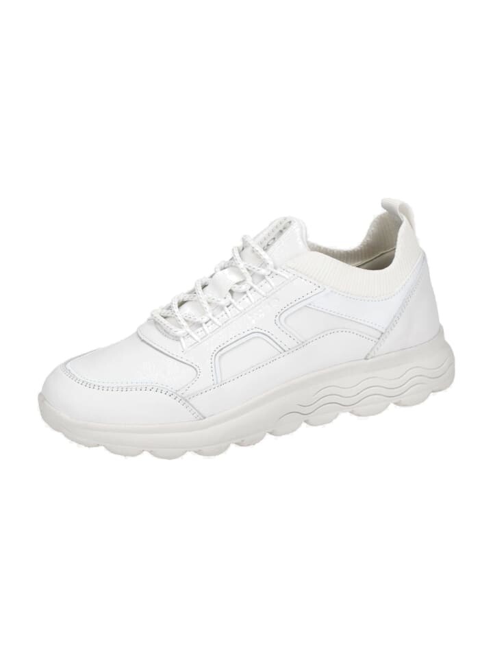 

Низкие кроссовки Geox Low, белый