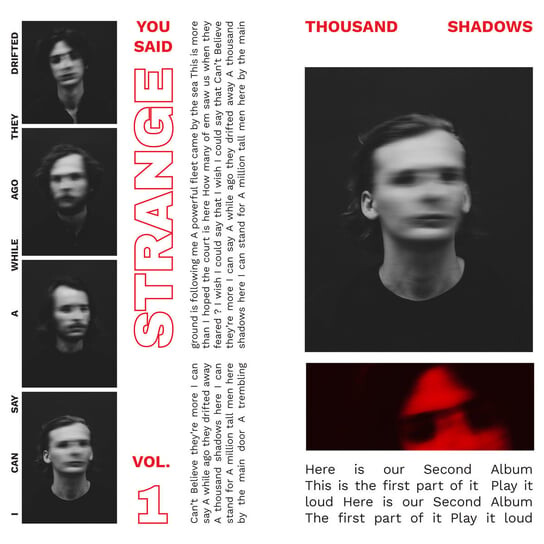 

Виниловая пластинка You Said Strange - Thousand Shadows Volume 1