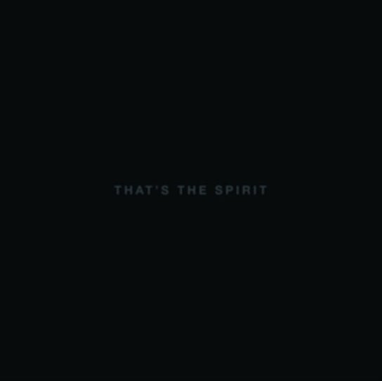 Виниловая пластинка Bring Me The Horizon - That's The Spirit sony music bring me the horizon post human survival horror cd