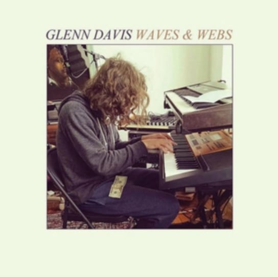 Виниловая пластинка Davis Glenn - Waves & Webs (цветной винил)