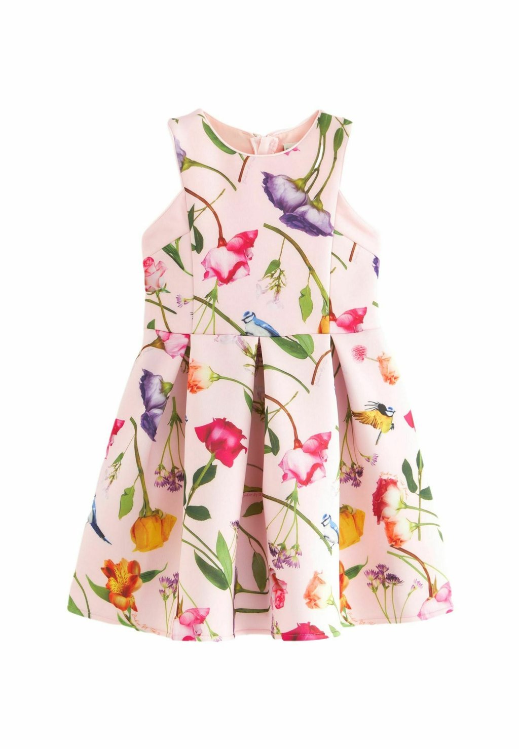 Повседневное платье REGULAR FIT Baker by Ted Baker, цвет floral
