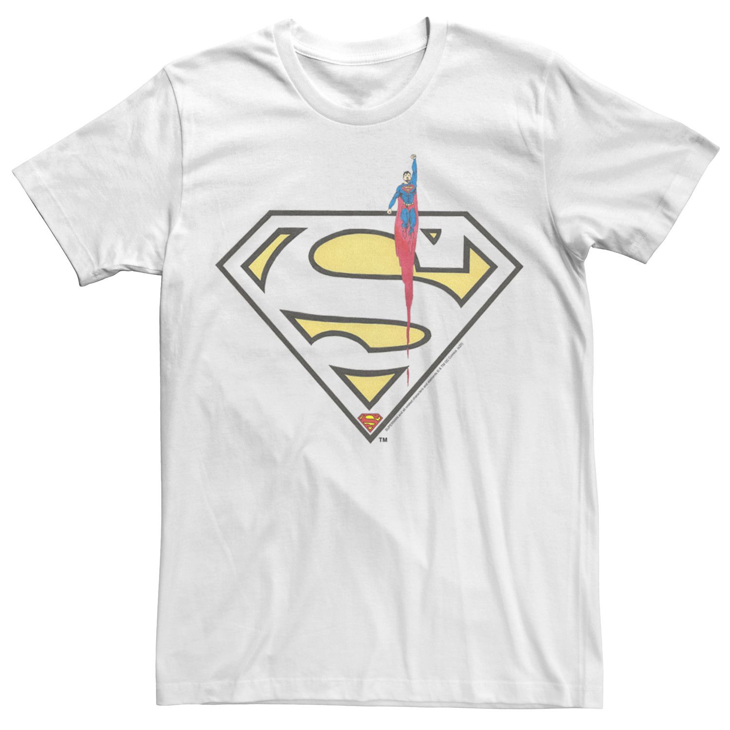 Мужская футболка с логотипом DC FanDome Superman In Flight Licensed Character