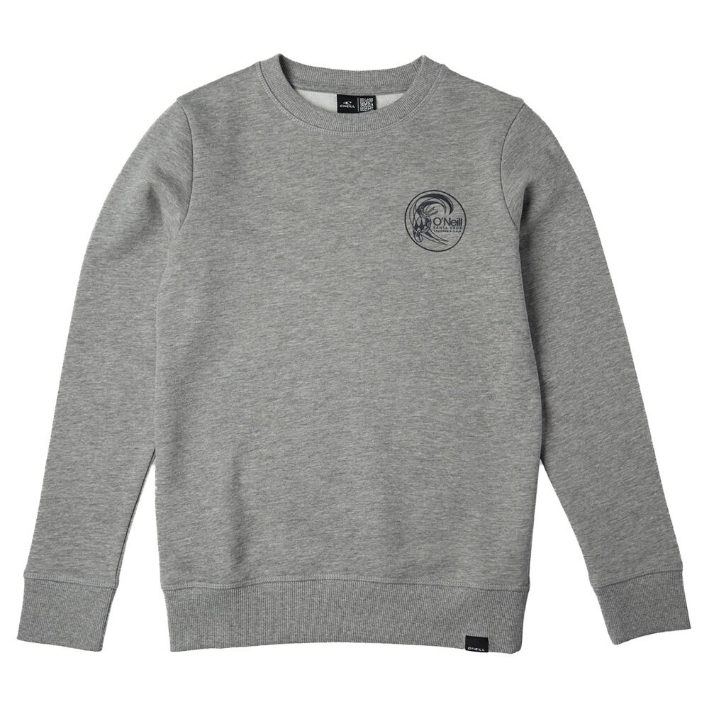 

Толстовка O´neill N4750002 Circle Surfer Boy, серый
