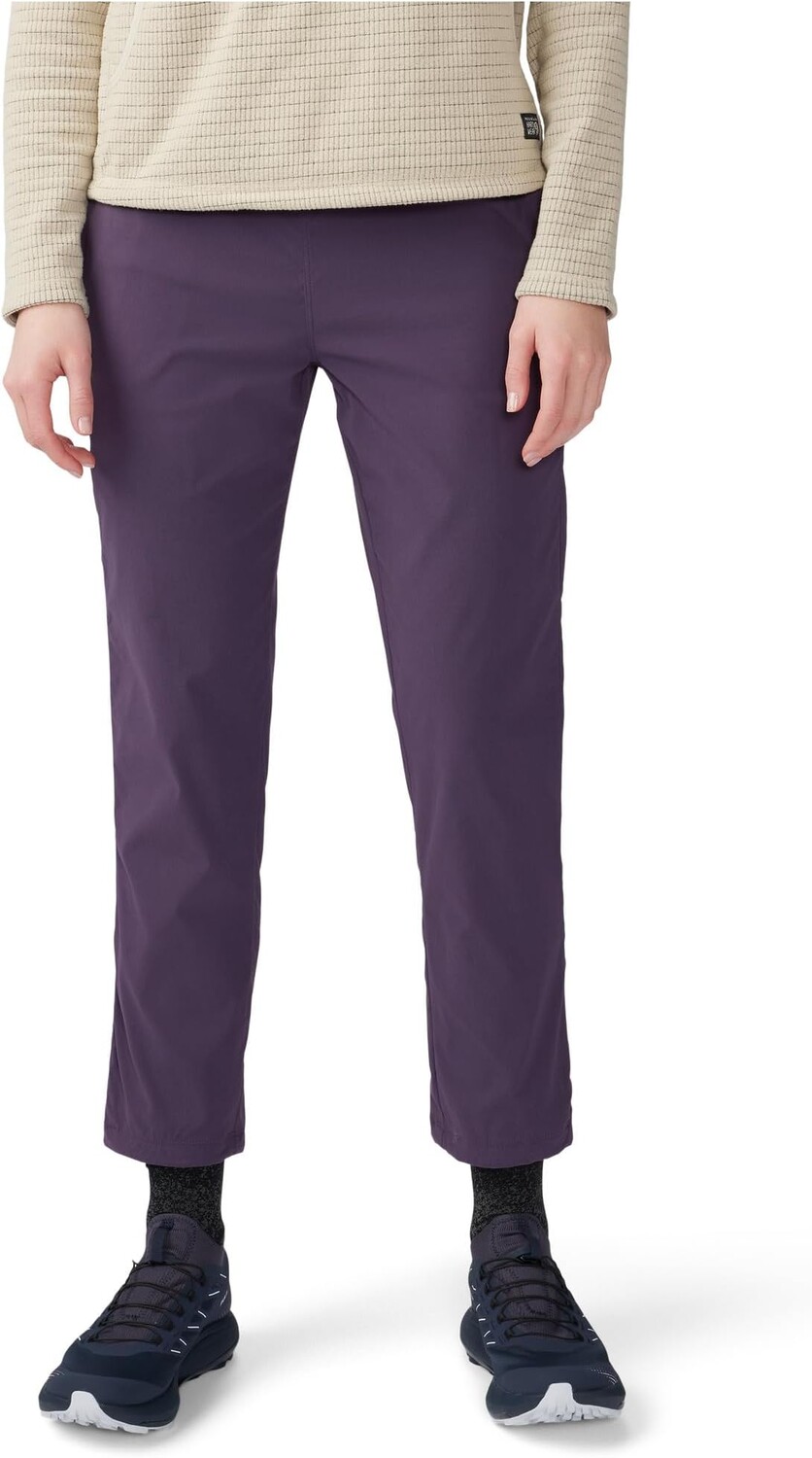 

Брюки Dynama без застежек Mountain Hardwear, цвет Blurple