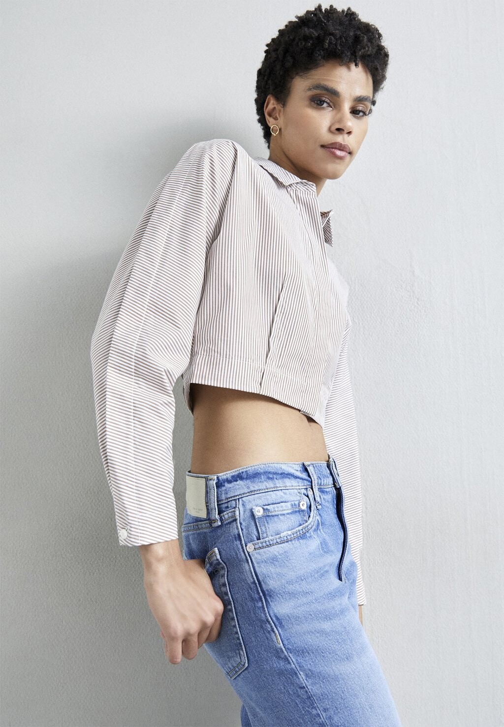 

Рубашка rag & bone MORGAN STRIPE, цвет brownstrpe
