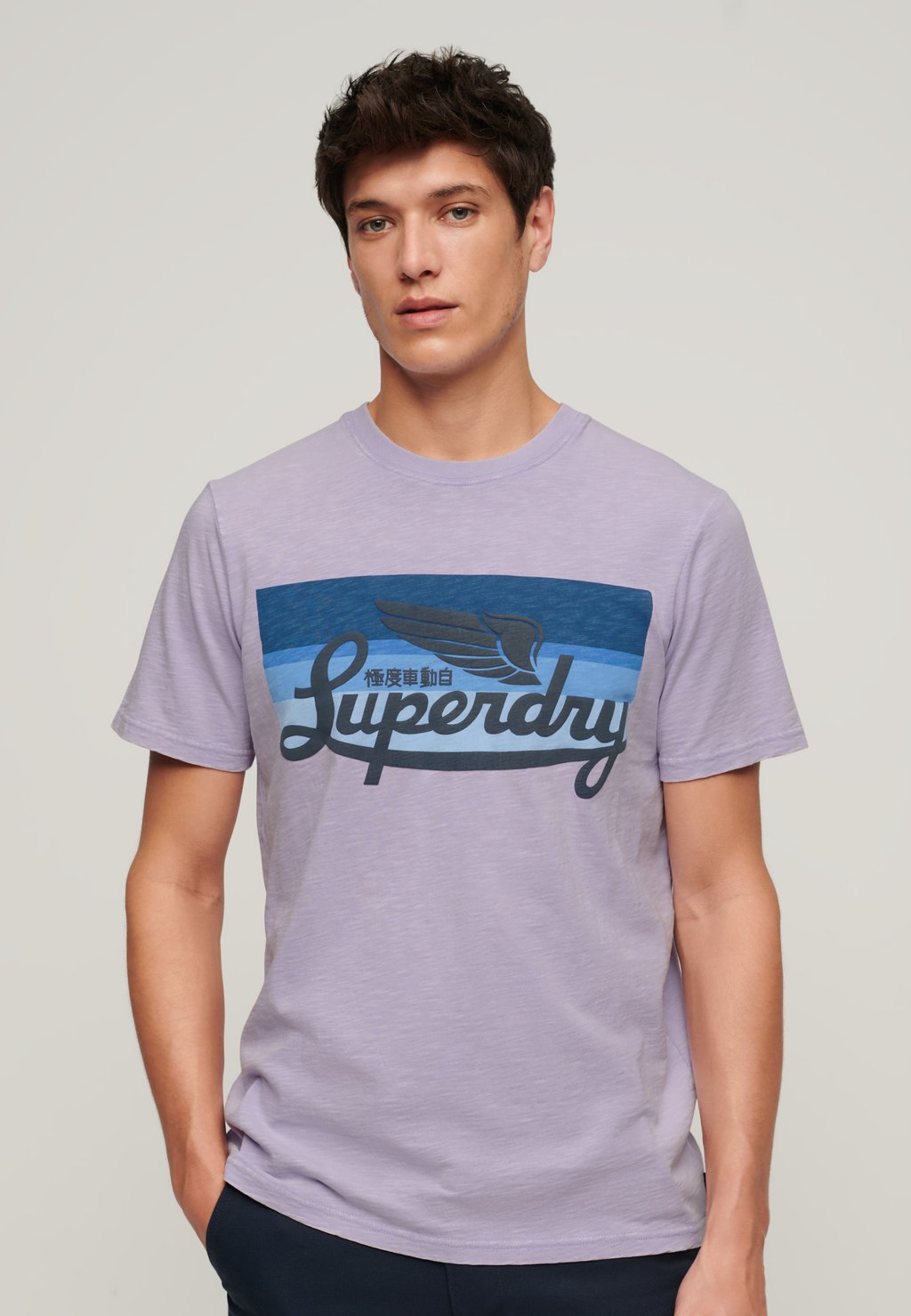 Футболка с принтом CALI STRIPED LOGO Superdry, фиолетовый