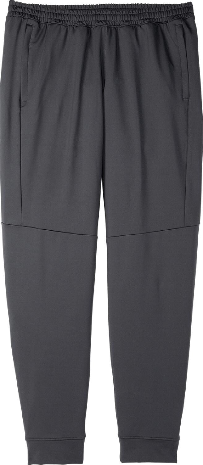 

Брюки Spartan Jogger — мужские Brooks, серый