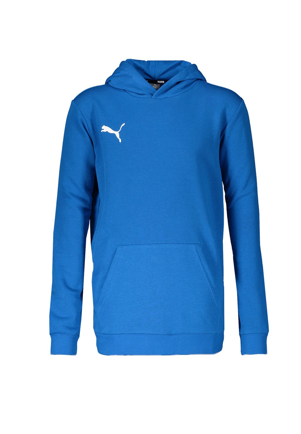 

Толстовка Teamgoal 23 Casuals Hoody Jr Unisex Puma, цвет blauweiss