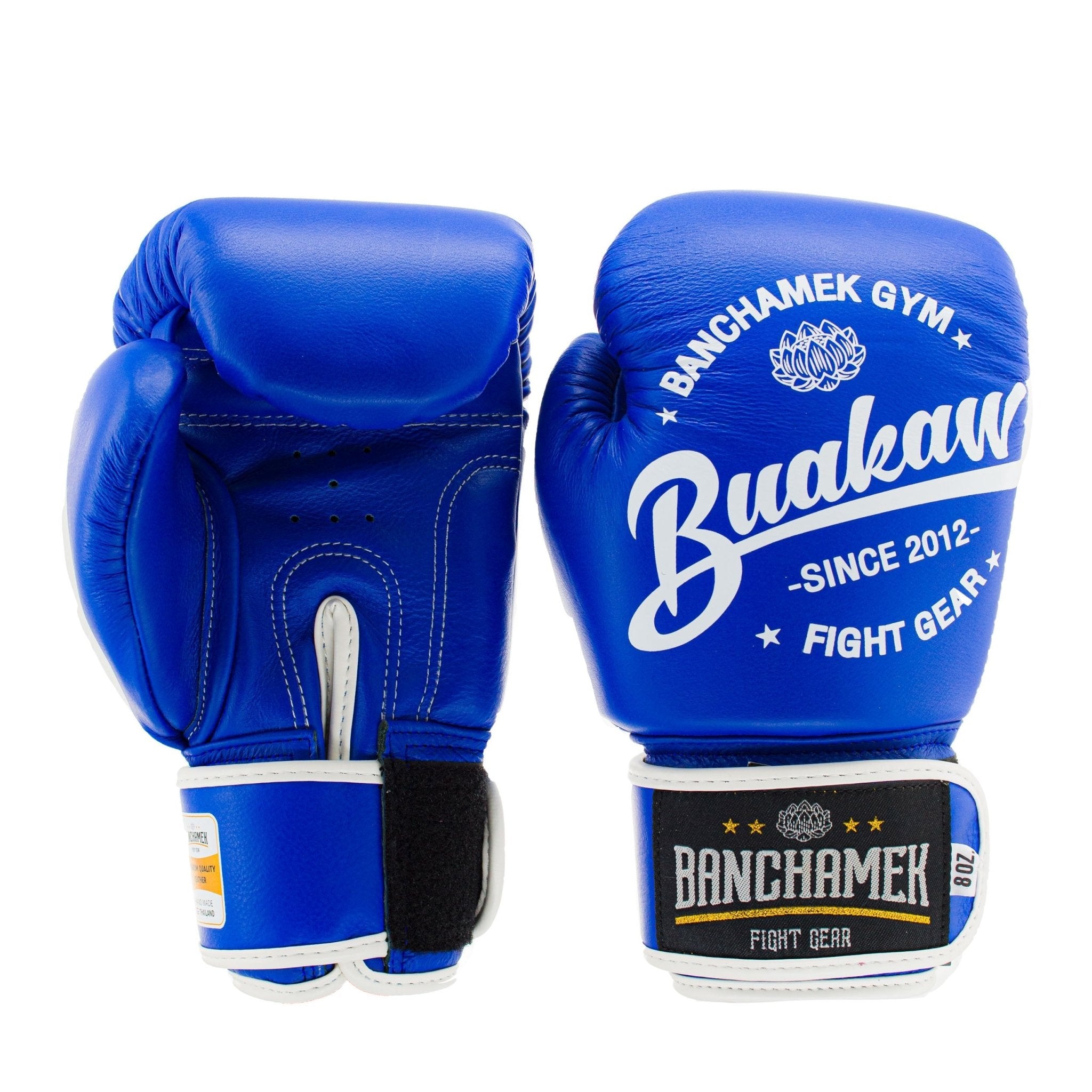 Muay Thai Gloves