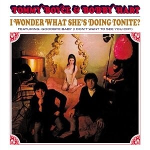 

Виниловая пластинка Boyce Tommy - I Wonder What She's Doing Tonite