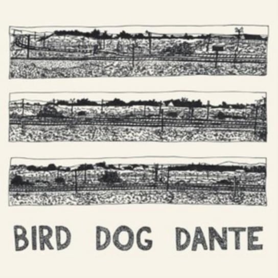 Виниловая пластинка Parish John - Bird Dog Dante