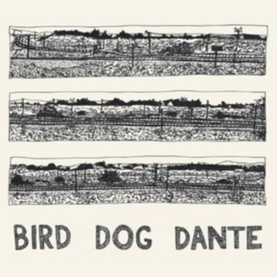 

Виниловая пластинка Parish John - Bird Dog Dante