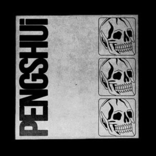 Виниловая пластинка PENGSHUi - PENGSHUi