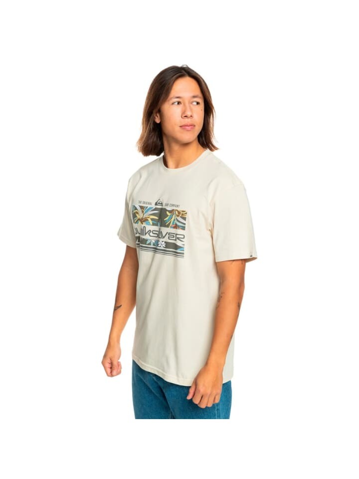 

Футболка Quicksilver Tshirt, белый