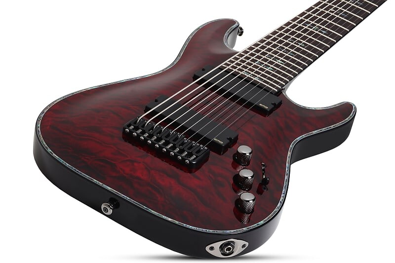 9 струнная гитара. Schecter 9. 9 струнная электрогитара schecter. шектер авенджер. ибанез 9 струн.