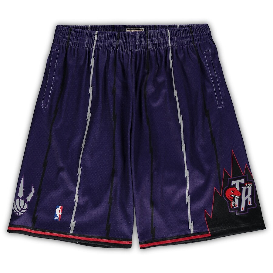 

Шорты Mitchell & Ness Toronto Raptors, фиолетовый
