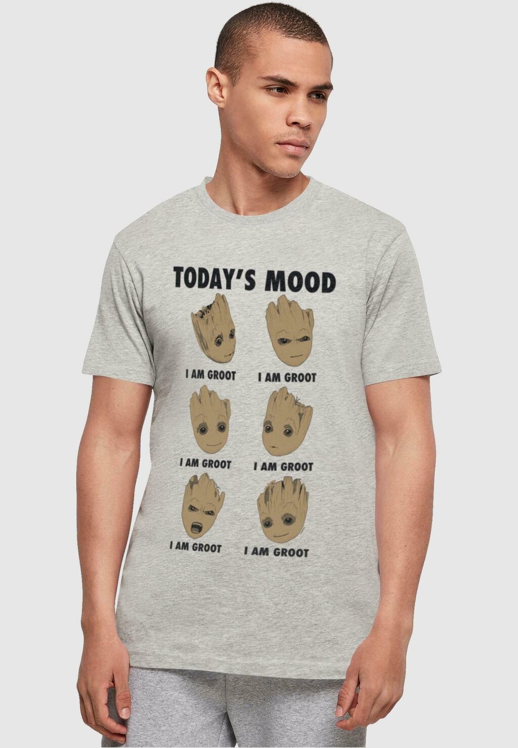 

Футболка с принтом MARVEL GUARDIANS OF THE GALAXY GROOT TODAYS MOOD ABSOLUTE CULT, цвет heather grey